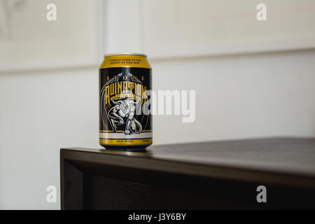 kann der Stein Ruin Handwerk Bierbrauen in Berlin gemacht Stockfoto