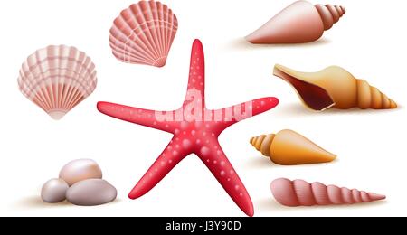 Reihe von bunten Vektor-Meer Muscheln und Steinen, Elemente und Dekoration für die Sommersaison. Vektor-Illustration. Stock Vektor