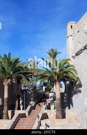 Treppe und Palmen Bäume in der Nähe Steinmauer der alten Festung in alten spanischen Stadt namens Peniscola Stockfoto