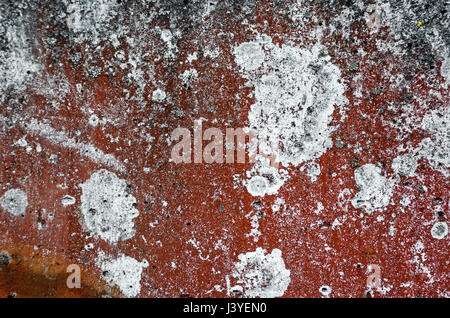 Zusammenfassung Hintergrund und Textur Rost braun rot gefärbt mit großen weißen und grauen Flecken. Stockfoto