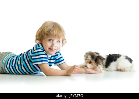 Freundschaft zwischen Kind und Hund Yorkie terrier Stockfoto