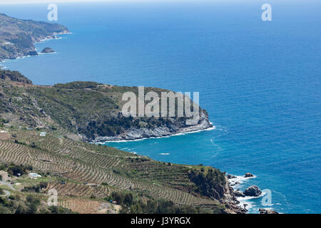 Horizontalen Schuss der mediterranen Seenlandschaft mit Hügeln von immergrünen Pflanzen und Bananenplantagen Abstieg zum Meer am sonnigen Tag erschossen Stockfoto