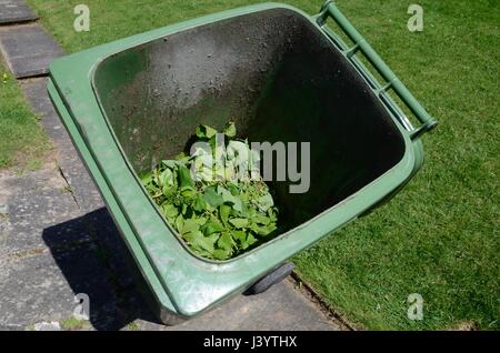 Garten-Müll im Grün Wheelie bin Stockfoto