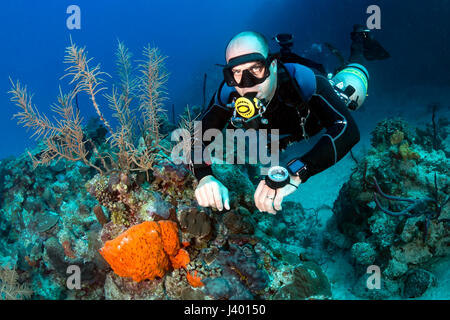 Taucher in einem technischen Sidemount-Anordnung an einem tropischen Korallenriff Stockfoto