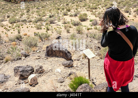 Eine Frau betrachtet man Felszeichnungen im Petroglyph National Monument, New Mexico, Vereinigte Staaten Stockfoto