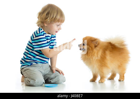 Kind junge Training Spitz Hund. Isoliert auf weißem Hintergrund. Stockfoto