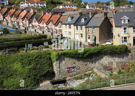 Bier, East Devon, England, UK Stockfoto