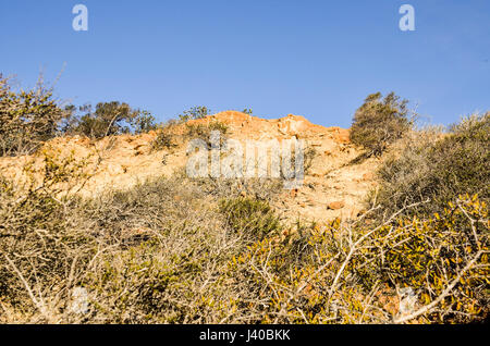 Torrey Pines Klippe im Pazifischen Ozean in San Diego Kalifornien Stockfoto