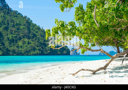 Malerische Aussicht auf die tropische Insel Strand gegen Küste Stockfoto