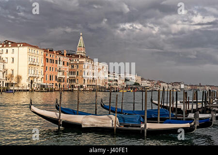 Canale Grande, Gondel, Hintergrund, Campanile, Venedig Italien Stockfoto