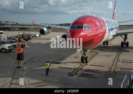 Flugzeug-Marschall mit Signalisierung-Sticks, um einen großen Passagier-Jet, eine exakte Position auf dem Vorfeld des Flughafen Tampa USA zu führen. Mai 2017 Stockfoto