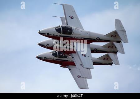 Nahaufnahme des kanadischen Snowbirds fliegen gestapelt Weg hoch oben in den Himmel. Stockfoto