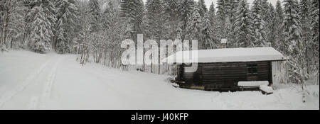 Verschneite Almhütte im Nadelwald in den Chiemgauer Alpen, Deutschland. Stockfoto