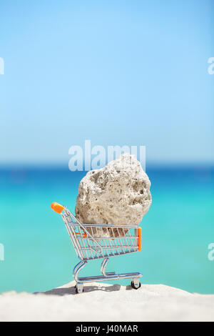 Stück einer Koralle in der shopping Cart Miniatur an einem Strand, Artenschutz, Schmuggel oder Abbau Umweltkonzept. Stockfoto