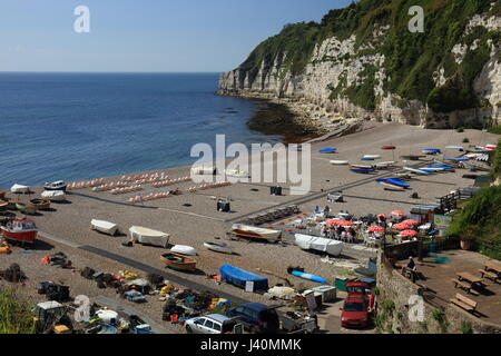 Bier, East Devon, England, UK Stockfoto