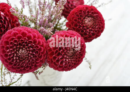 Bouquet von Dahlien in Vintage Vase auf hellem Hintergrund closeup Stockfoto