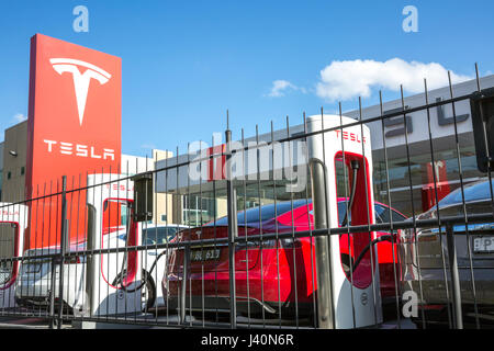 Tesla Elektroautos Showroom und Autos in St. Leonards, Sydney, Australien Stockfoto