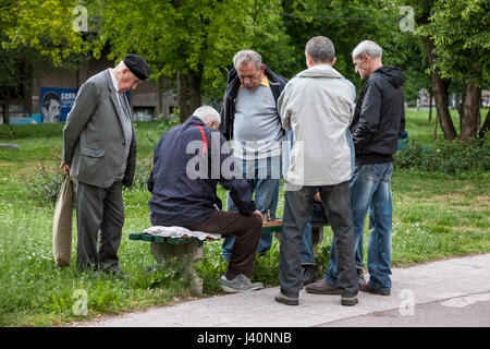 Belgrad, Serbien - 8. Mai 2017: alte Männer spielen Schach auf einer Bank in einem Park von Zemun-Viertel, in Belgrad Bild alte Männer spielen Schach in der sub Stockfoto