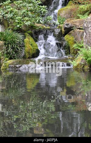 Wasser Kaskadierung über Felsen in einem japanischen Garten.  Üppige, grüne Reflexionen Welligkeit über den großen Teich in Richtung der Kamera. Hochformat Stockfoto