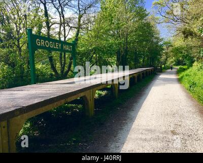 Grogley Halt Bahnhof, Camel Trail Stockfoto