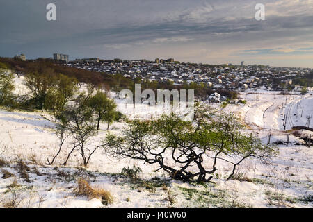 Bäume auf den Hügeln der Frühling mit Schnee bedeckt. Ukraine Dnepropetrovsk Stockfoto