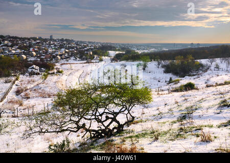 Bäume auf den Hügeln der Frühling mit Schnee bedeckt. Ukraine Dnepropetrovsk Stockfoto