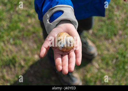 Kleiner Junge zeigt eine Schnecke in seiner Hand Stockfoto