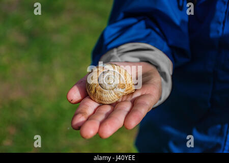 Kleiner Junge zeigt eine Schnecke in seiner Hand Stockfoto