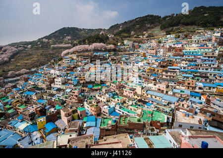 Ansicht von bunt bemalten Häusern in Gamcheon Culture Village, Busan Gwangyeoksi, Südkorea Stockfoto