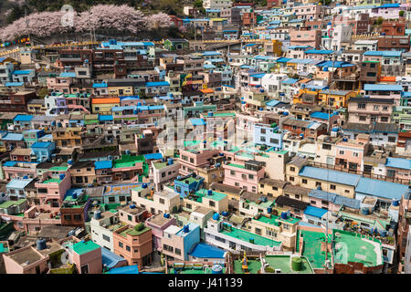 Ansicht von bunt bemalten Häusern in Gamcheon Culture Village, Busan Gwangyeoksi, Südkorea Stockfoto