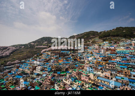 Ansicht von bunt bemalten Häusern in Gamcheon Culture Village, Busan Gwangyeoksi, Südkorea Stockfoto