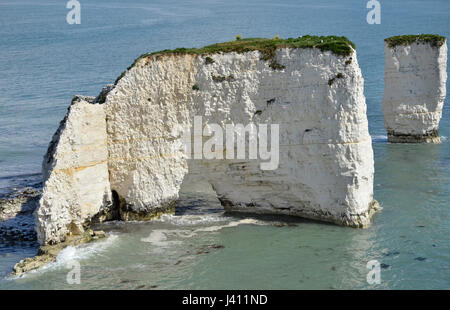 Old Harry rocks, eine Reihe von Kreide Felsnadeln vor der Küste von Dorset am Studland Stockfoto