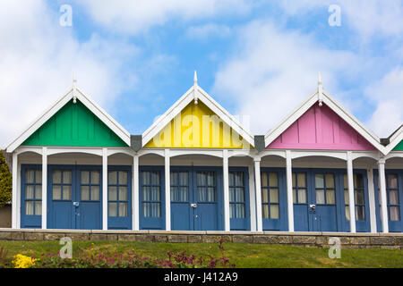 Farbenfrohe Strandhütten in Greenhill Gardens Weymouth, Dorset UK im Mai Stockfoto