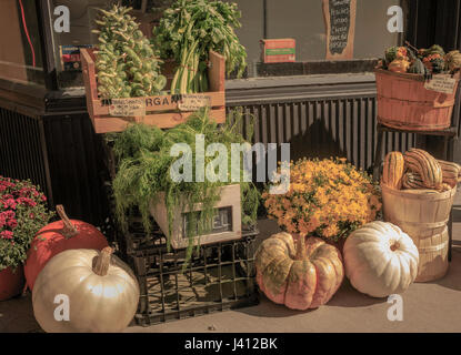 Bunte Anzeige von Herbst Gemüse auf einem freien Markt Stockfoto