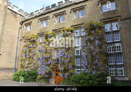 Alte große Schule an der Rugby School, Warwickshire, England Stockfoto