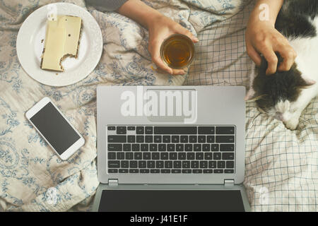 Ansicht von oben Bild von womans Händen auf dem Bett entspannt beobachten Netflix Film im Bett mit cat Stockfoto