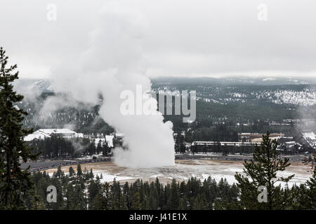 Old Faithful Geysir Ausbruch. Upper Geyser Basin. September 2016. Yellowstone-Nationalpark, Wyoming, USA Stockfoto