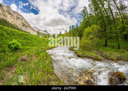 Fließt klares Wasser auf hoch gelegenen alpinen Stream in unberührten Idylle in den französischen Alpen. Ultra-Weitwinkel-Ansicht. Stockfoto