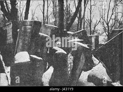 Lemberg (Lviv), Alter jüdischer Friedhof Stockfoto