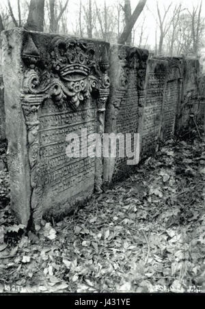 Lemberg (Lviv), Alter jüdischer Friedhof 4 Stockfoto