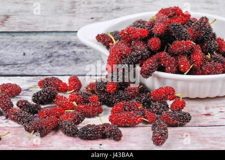 Frische schwarze und rote Reife Maulbeeren halten aus dem Garten auf Holz Stockfoto