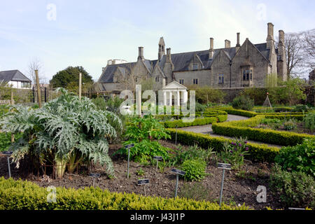 Cowbridge Physic Garden und das Alte Gymnasium, Tal von Glamorgan, South Wales. Stockfoto