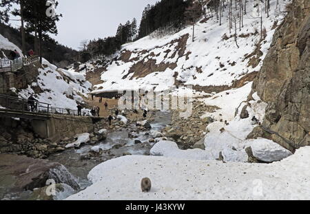 Touristen auf Pfad durch Monkey Park Jigokudani Monkey Park, Präfektur Nagano, Japan Februar Stockfoto