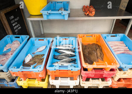 Frischer Fisch zum Verkauf an ein Fishermans Hütte oder Schuppen oder Fisch Shop am Strand von Aldeburgh Suffolk UK Stockfoto