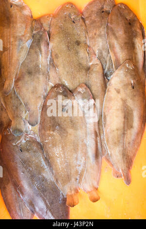 Dover-Sohlen für den Verkauf als frischen Fisch in einem Plastikbehälter bei einem Fischhändler Stockfoto