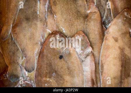 Dover-Sohlen für den Verkauf als frischen Fisch in einem Fischhändler hautnah Stockfoto