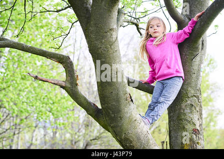 Kind blondes Mädchen Kletterbaum in einem Park im freien Stockfoto