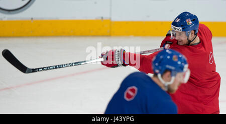 Paris, Frankreich. 8. Mai 2017. Trainingseinheit vor dem Eishockey-WM-Spiel Tschechien gegen Finnland, in Paris, Frankreich, am 8. Mai 2017. Roman Cervenka (CZE) Credit: Michal Kamaryt/CTK Foto/Alamy Live-Nachrichten Stockfoto