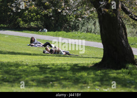 Balloch, UK. 9. Mai 2017. Ein weiterer schöner Tag in Balloch Castle Country Park. Bildnachweis: ALAN OLIVER/Alamy Live-Nachrichten Stockfoto