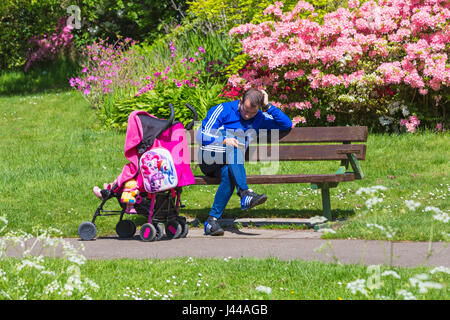 Mann, sitzend auf Bank Blick auf Handy mit Baby im Kinderwagen Buggy in der Upper Gardens, Bournemouth, Dorset im Mai Stockfoto